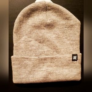 American Eagle Fittes Beanie